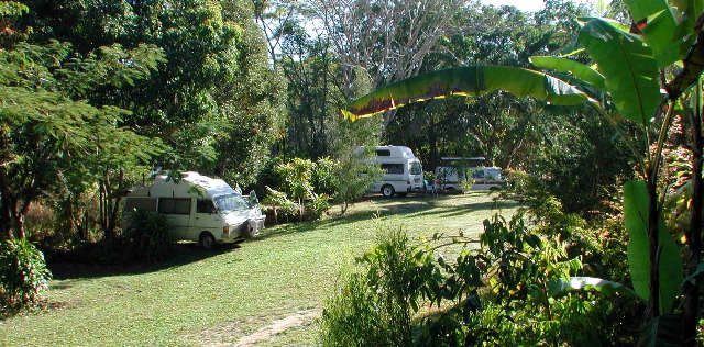 Kuranda Rainforest Accommodation Park Logo and Images