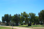 Lockhart Caravan Park Logo and Images