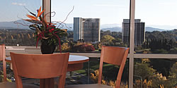 Waldorf Apartment Hotel Canberra Logo and Images