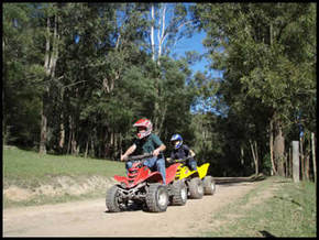 Glenworth Valley Horseriding Logo and Images