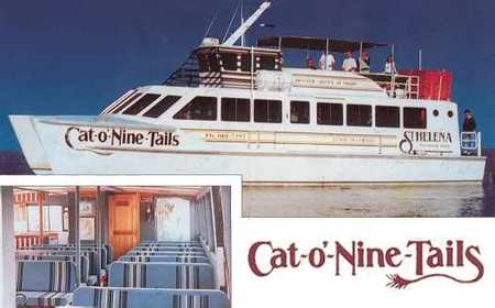 Cat O' NineTails Logo and Images