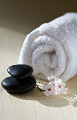 Sakura Day Spa Logo and Images