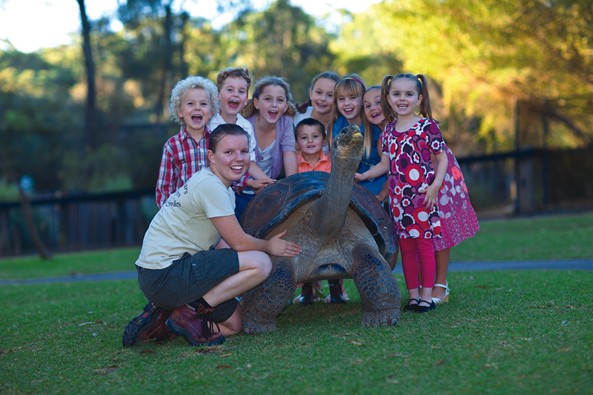 Australian Reptile Park Logo and Images