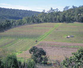 Darling Range Logo and Images