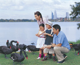 Lake Monger Logo and Images