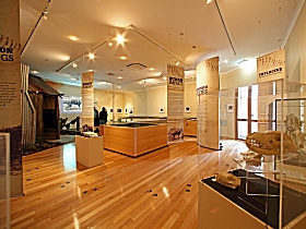Tasmanian Tiger Exhibition Logo and Images