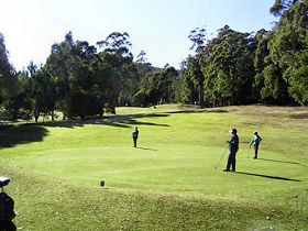 Sheffield Golf Course Logo and Images