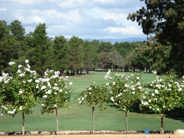 RMC Golf Club Image