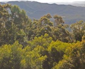 Conondale National Park Logo and Images