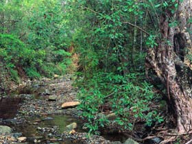 Mudlo National Park Logo and Images