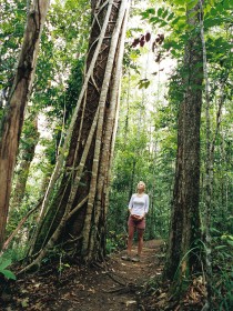 Wet Tropics Logo and Images