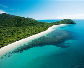 Cape Tribulation, Daintree National Park Logo and Images