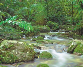 Mossman Gorge, Daintree National Park Logo and Images