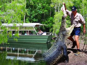 Hartleys Crocodile Adventures Image