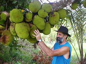 Cape Trib Exotic Fruit Farm Logo and Images