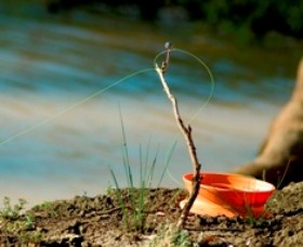 Charleville - Mangalore Warrego River Fishing Spot Logo and Images