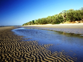 Burrum Coast National Park Image