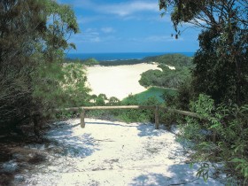 Lake Wabby Track Logo and Images