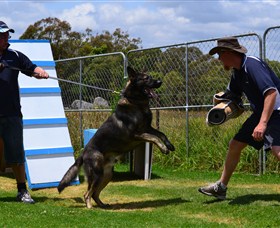 Lawdogs Australia Logo and Images