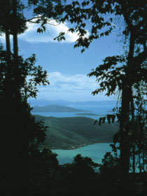 Whitsunday Great Walk Image