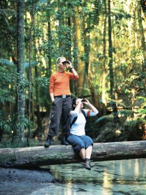 Birdwatching on the Fraser Coast Logo and Images