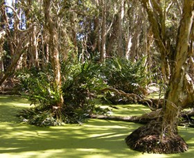 Arkarra Lagoons and Tea Gardens Logo and Images