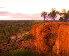 Baldy Top Lookout Logo and Images