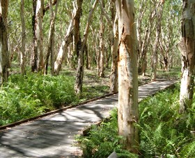 The Kommo Toera Trail Image