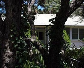 Melaleuca Gallery Logo and Images