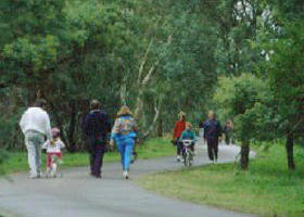 Birrarrung Park Logo and Images