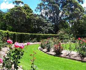Wollongong Botanic Garden Logo and Images