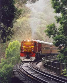 Cockatoo Run - Scenic Tour Train operated by 3801 Limited Logo and Images