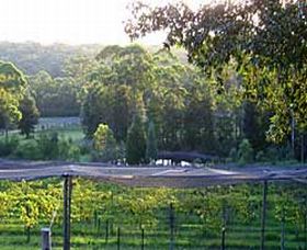 Lyrebird Ridge Organic Winery Logo and Images
