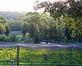 Lyrebird Ridge Organic Winery Image