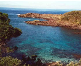 Bass Point Reserve Logo and Images