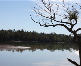 North Coast Holiday Parks Boambee Creek Reserve Logo and Images