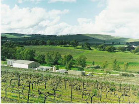 Stephen John Wines Logo and Images