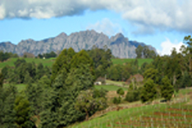 Lake Barrington Vineyard Logo and Images