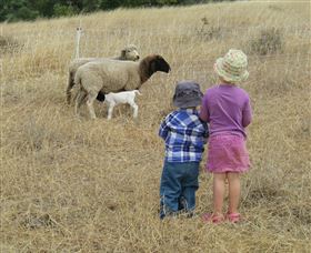 Gleneden Organic Farm and The Gleneden Bullock Team Logo and Images