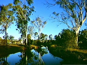 Dingo Creek Park Logo and Images