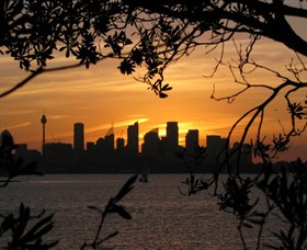 Joeys Walkabout Logo and Images