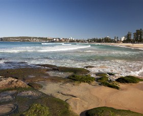 Manly Surf School Logo and Images
