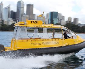 Yellow Water Taxis Logo and Images