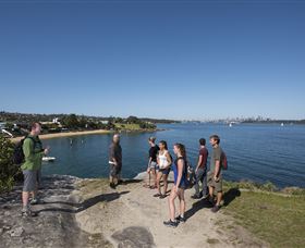 Sydney Coast Walks Logo and Images