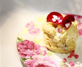 The Tea Salon Logo and Images