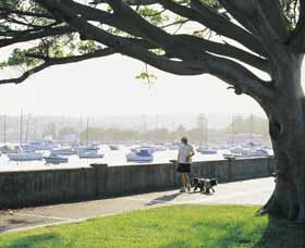 Sydney Harbour Circle Walk Logo and Images