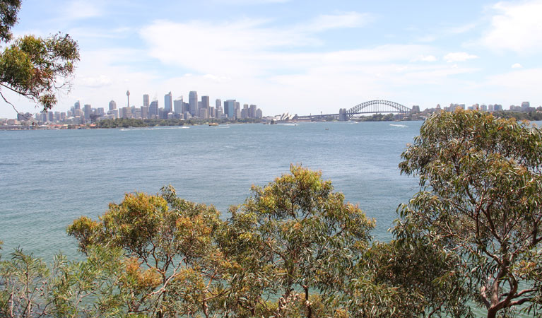 Bradleys Head to Chowder Bay walk Logo and Images