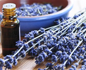 Pure Botanicals Logo and Images