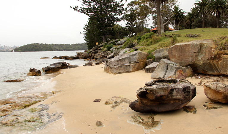 Shark Island Logo and Images