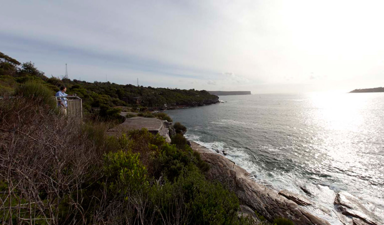Middle Head Logo and Images